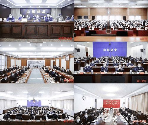 第二批政法隊伍教育整頓工作推進會召開