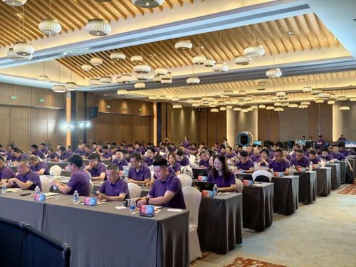 巳海昇屏,e立潮頭 2025年aoc顯示器全國(guó)操盤手大會(huì)隆重召開